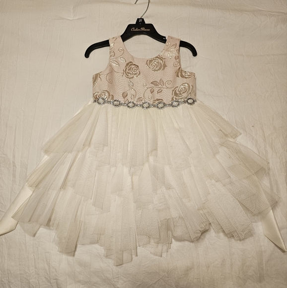 Couture Princess Light Pink Tulle Dress w/ Silver Embossed Roses & Pearl Crystal - Picture 1 of 6